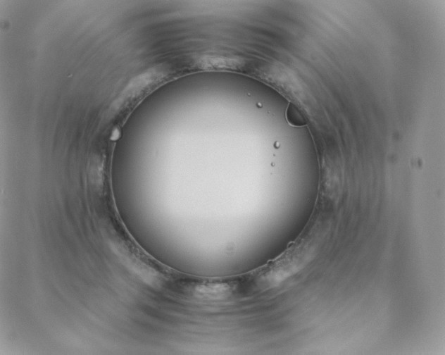 X0000089400357200706151232