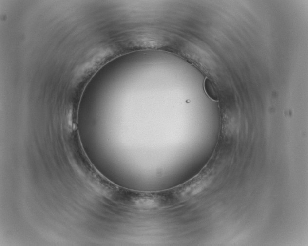 X0000089400358200706151232