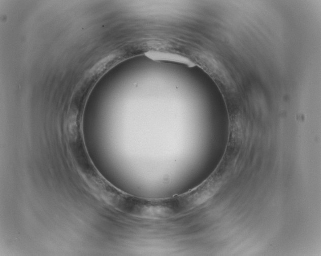 X0000089400360200706151232