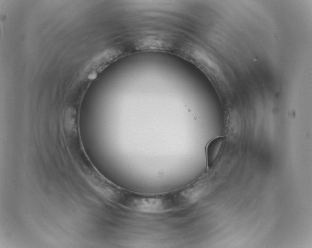 X0000089400361200706151232