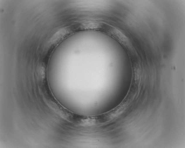 X0000089400362200706151232