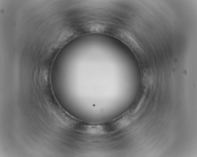 X0000089400363200706151232