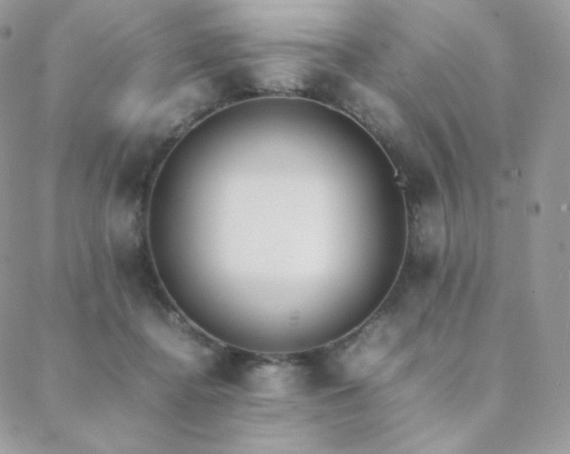 X0000089400364200706151232