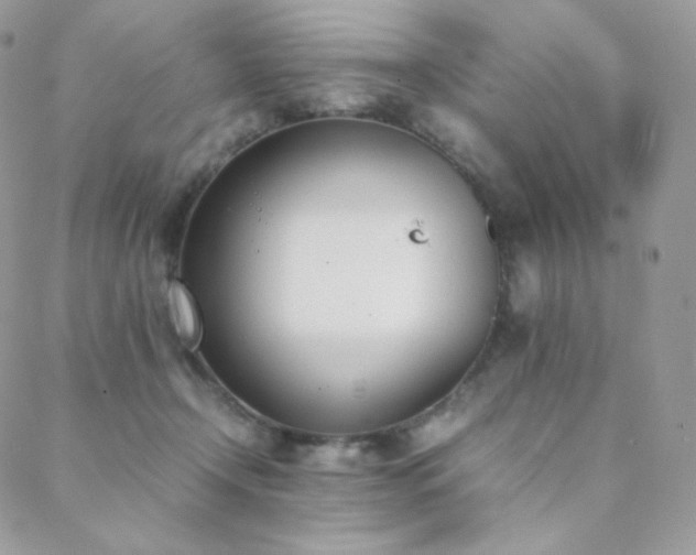 X0000089400366200706151232