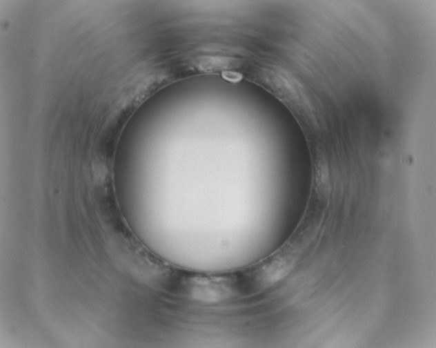 X0000089400367200706151232