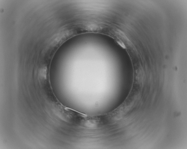 X0000089400368200706151232