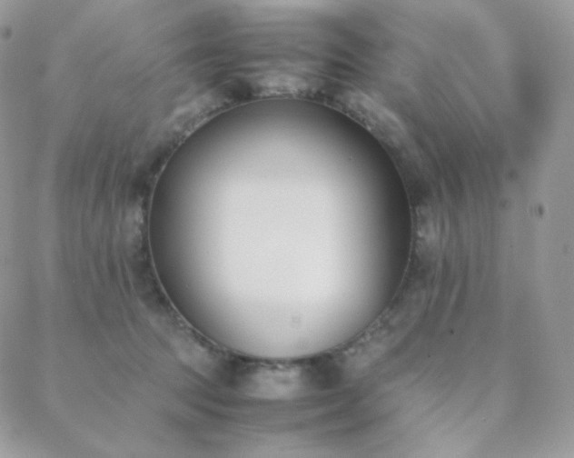 X0000089400369200706151232