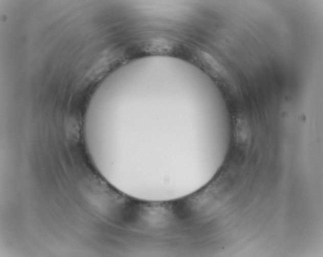 X0000089400370200706151232