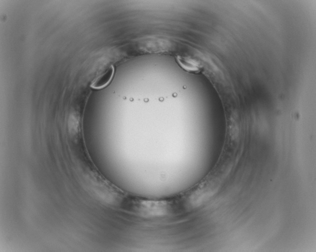 X0000089400371200706151233