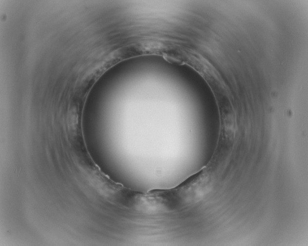 X0000089400372200706151233