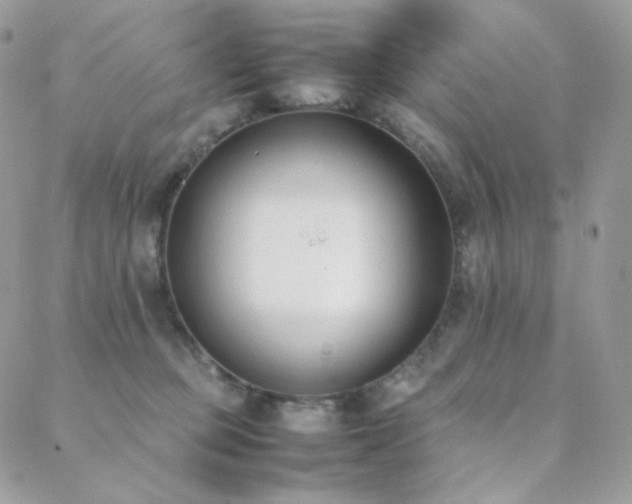 X0000089400373200706151233