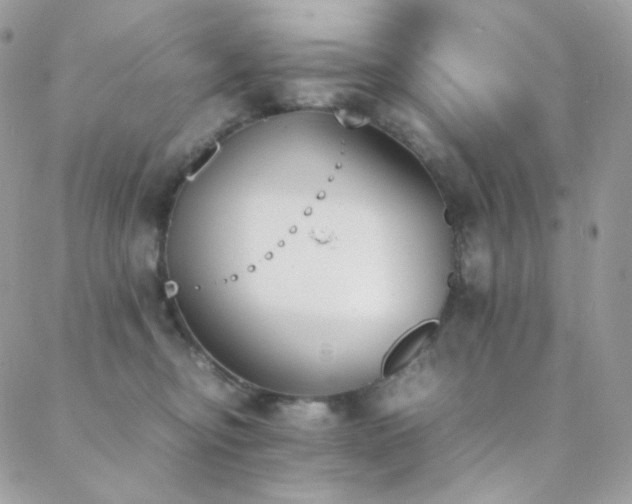 X0000089400374200706151233