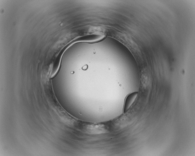 X0000089400375200706151233