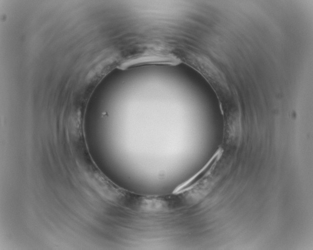 X0000089400376200706151233