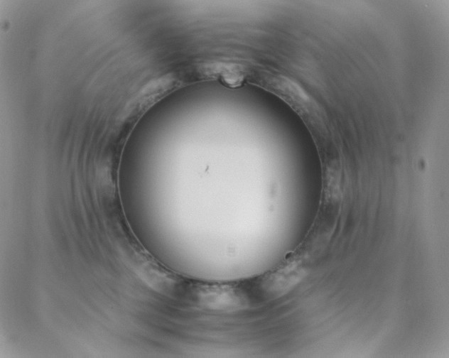 X0000089400377200706151233