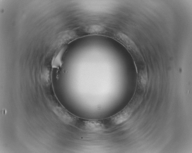 X0000089400380200706151233