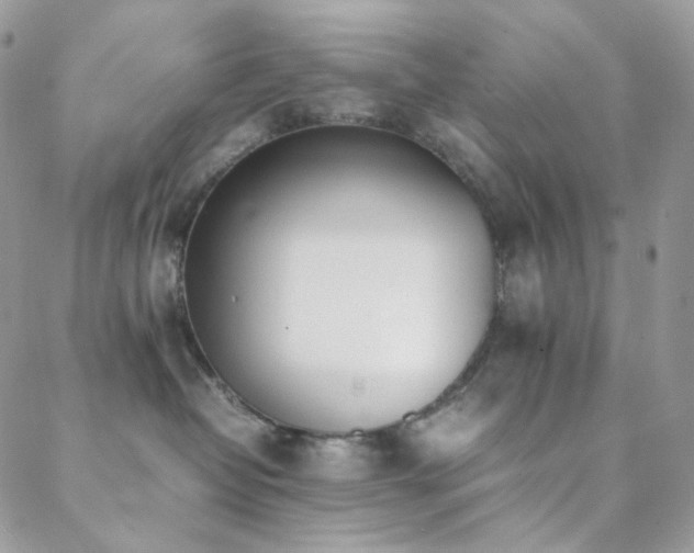 X0000089400382200706151233