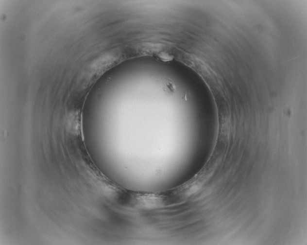 X0000089400383200706151233