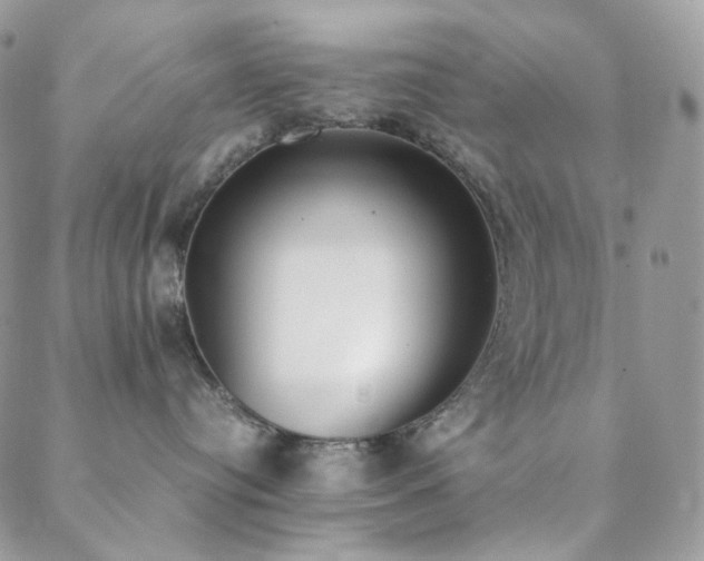 X0000089400384200706151233