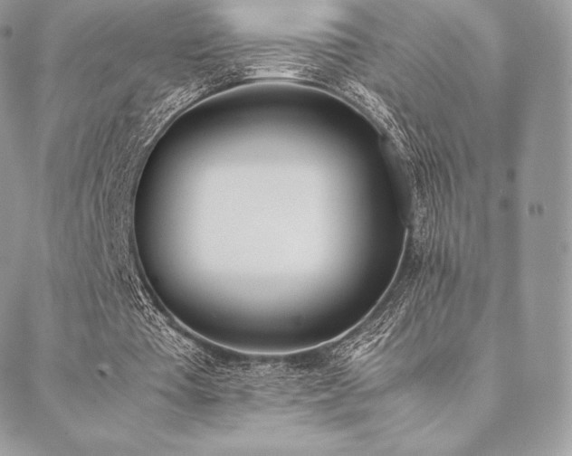 X0000089400385200706151232