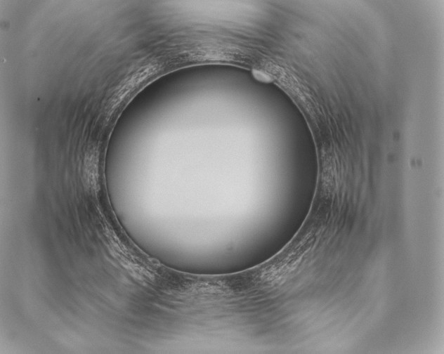 X0000089400386200706151232