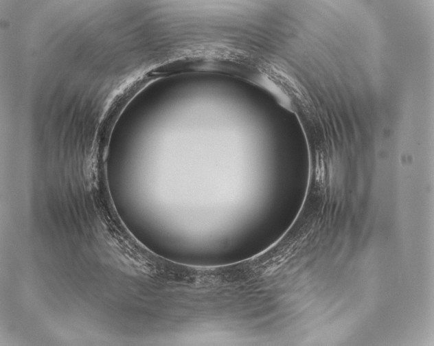 X0000089400388200706151232