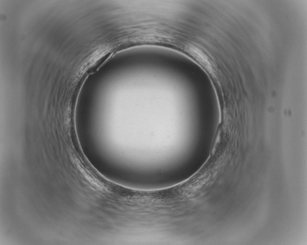 X0000089400389200706151232