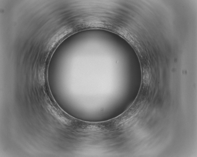 X0000089400390200706151232