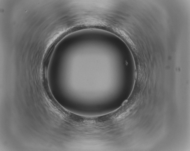 X0000089400391200706151232