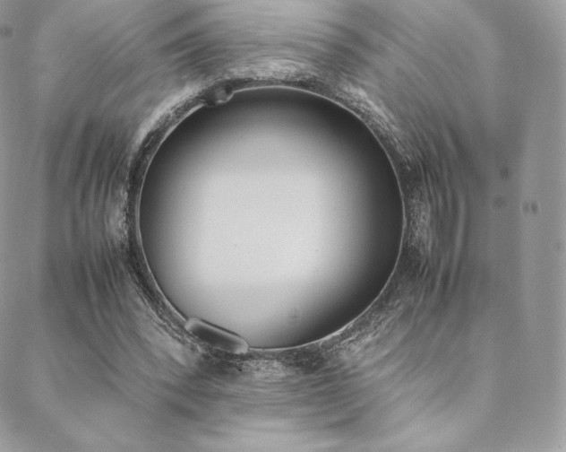 X0000089400392200706151232