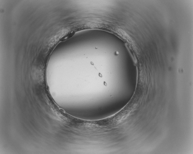 X0000089400393200706151232