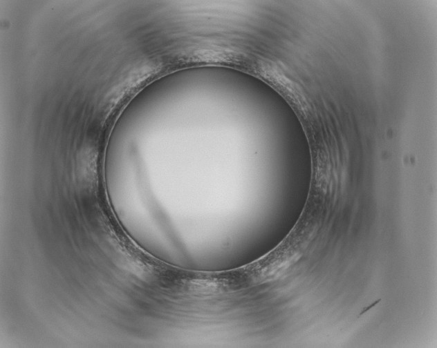 X0000089400394200706151232