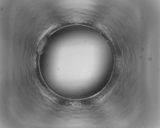 X0000089400395200706151232