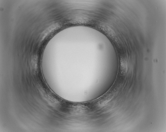 X0000089400396200706151232