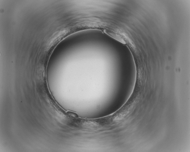 X0000089400397200706151232