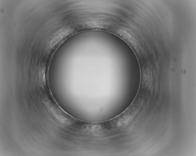 X0000089400398200706151232