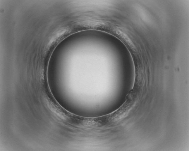 X0000089400399200706151232