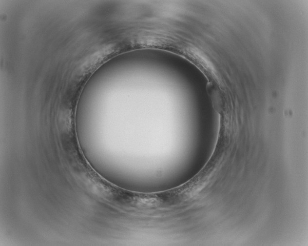 X0000089400401200706151232