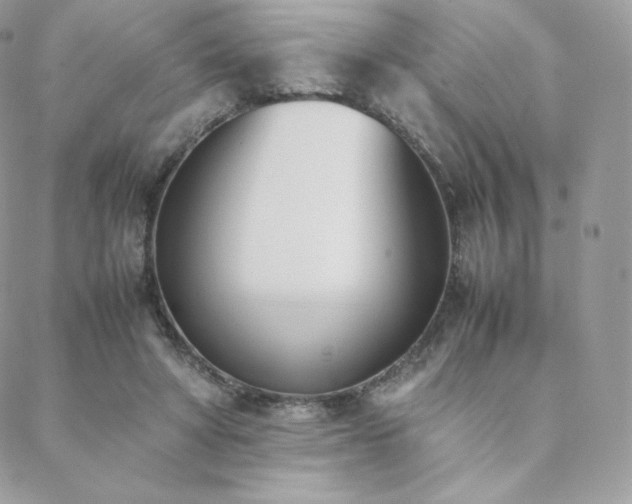 X0000089400402200706151232