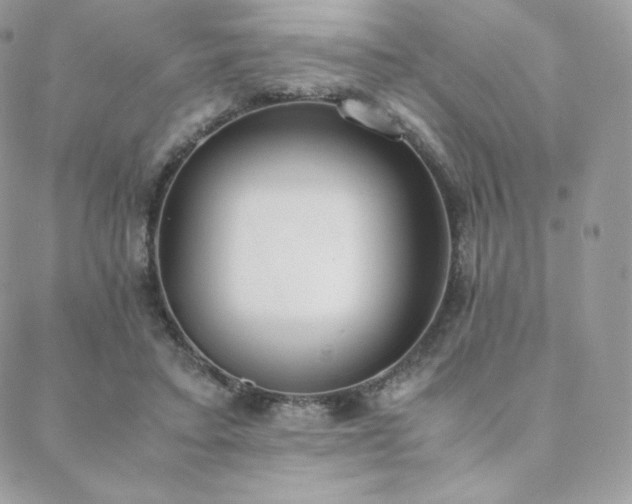 X0000089400403200706151232