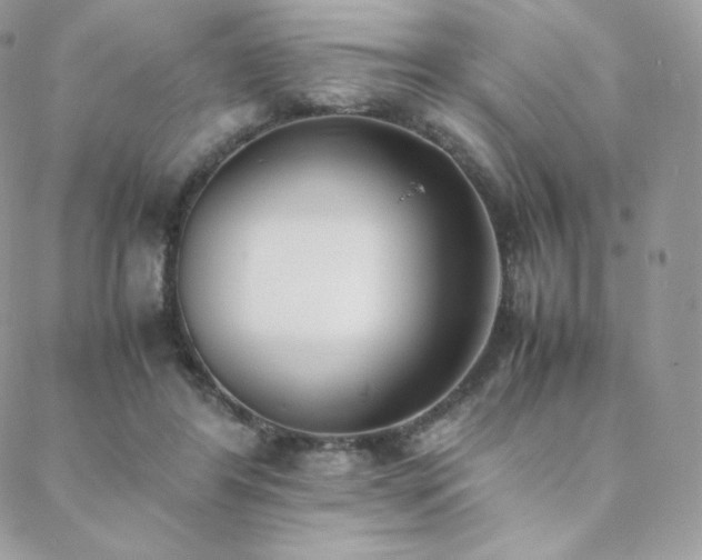 X0000089400404200706151232