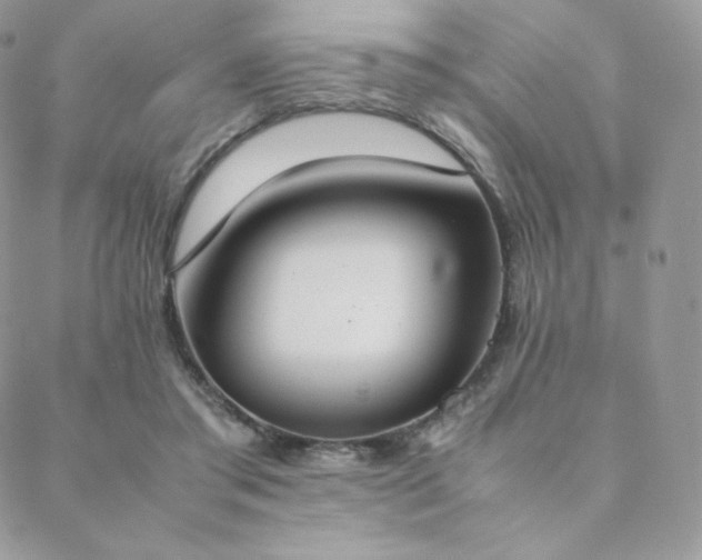 X0000089400405200706151232