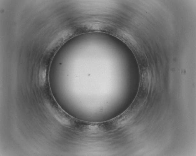 X0000089400406200706151232