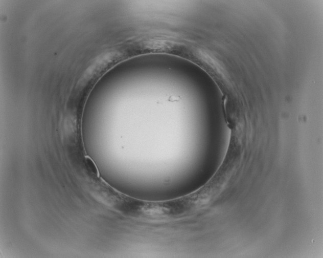 X0000089400407200706151232