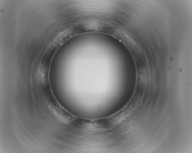 X0000089400408200706151232