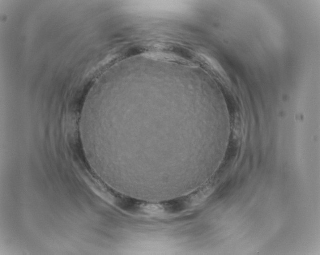 X0000089400409200706151232