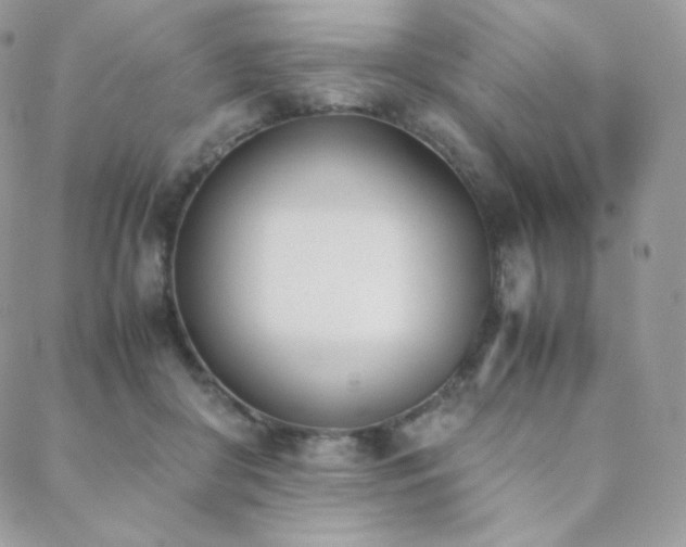 X0000089400410200706151232