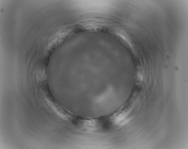 X0000089400411200706151231