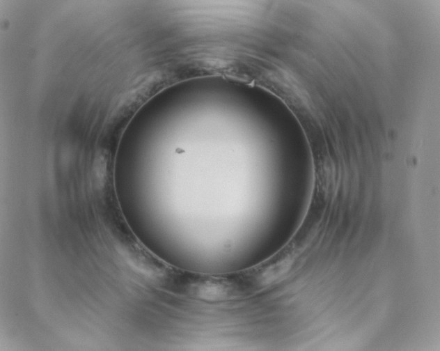 X0000089400412200706151231