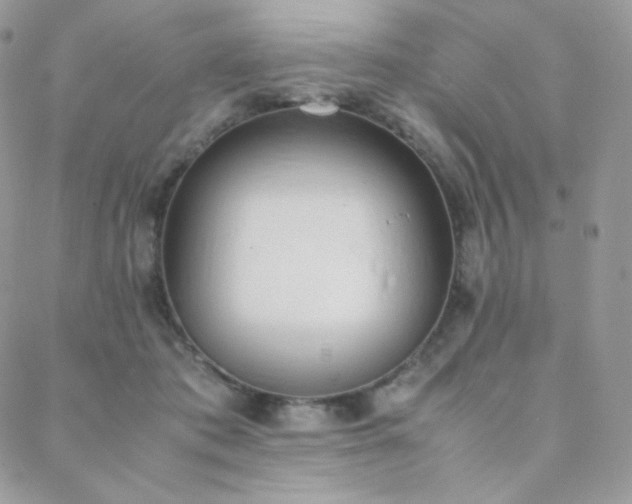 X0000089400413200706151231